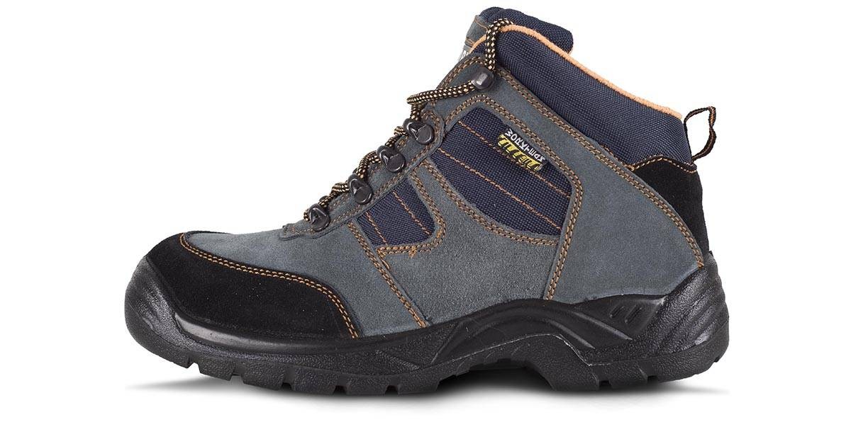 Bota