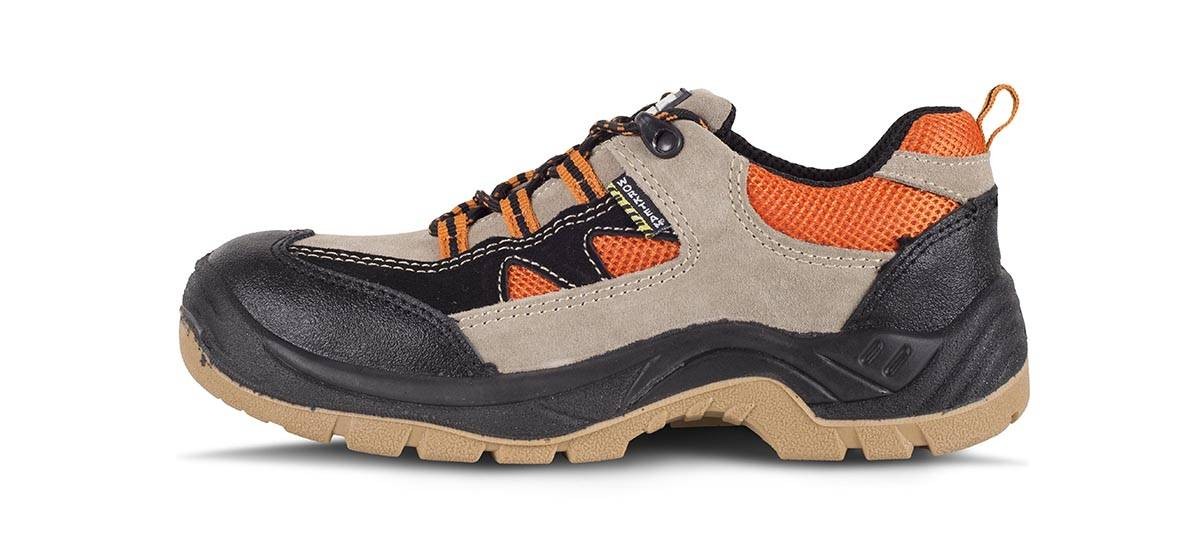 Zapato