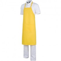 Item:31020