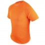 Item:27135