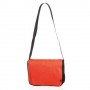 Item:2548