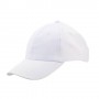 Item:10756