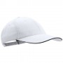 Item:10697