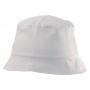 Item:10842