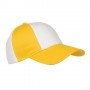 Item:10036