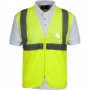Item:30699